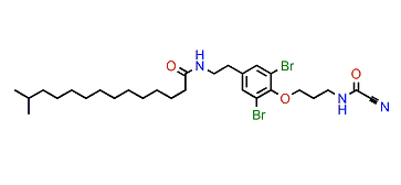 Subereamide C